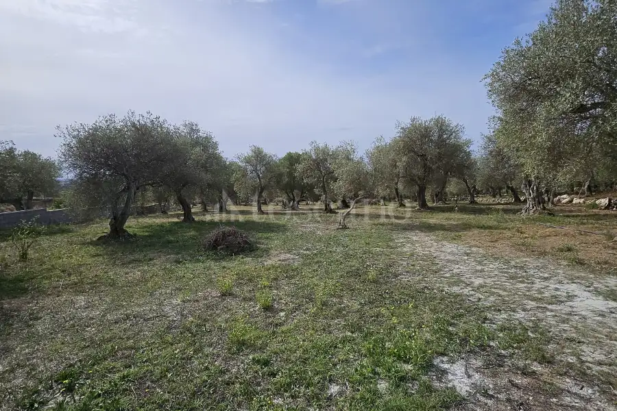 Edificabile Residenziali in vendita di 10.000 mq a €99.000 (rif. 176/2025)