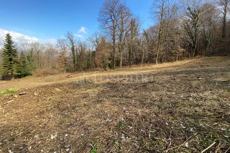 Edificabile Residenziali in vendita di 2.500 mq a €80.000 (rif. 115/2026)