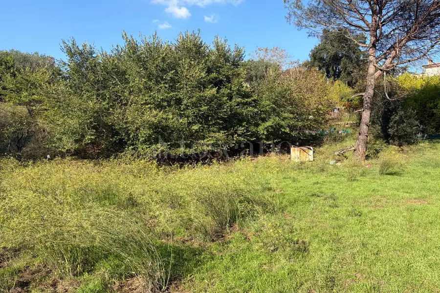 Edificabile Residenziali in vendita di 3.300 mq a €69.000 (rif. 47/2026)