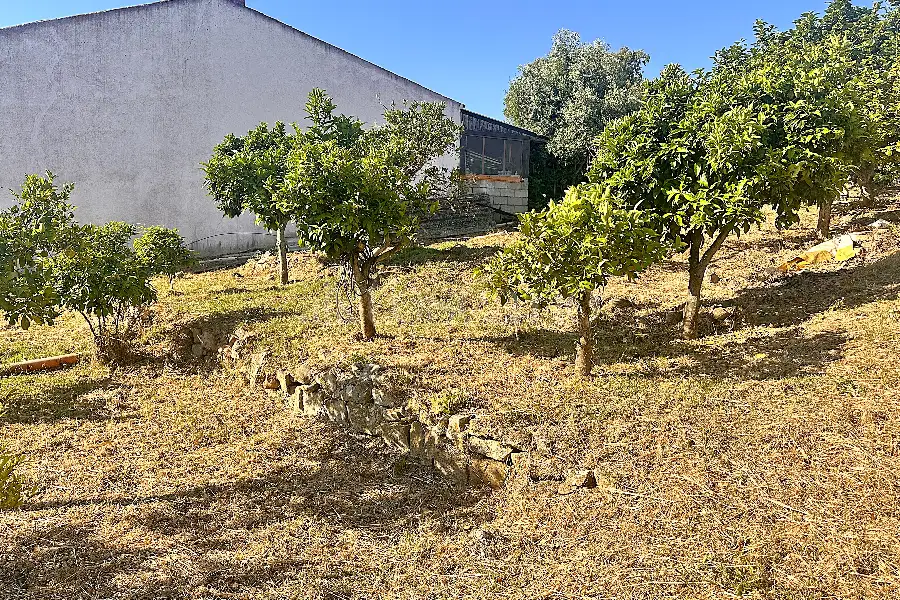Edificabile Residenziali in vendita di 1.334 mq a €100.000 (rif. 6/2025)