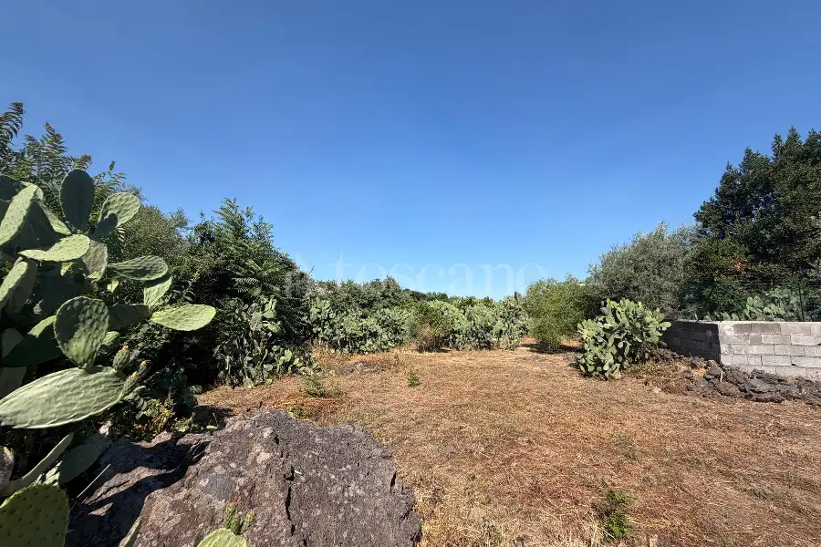 Edificabile Residenziali in vendita di 6.000 mq a €659.000 (rif. 117/2026)