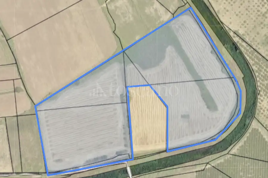 Agricolo in vendita di 50.600 mq a €105.000 (rif. 133/2026)