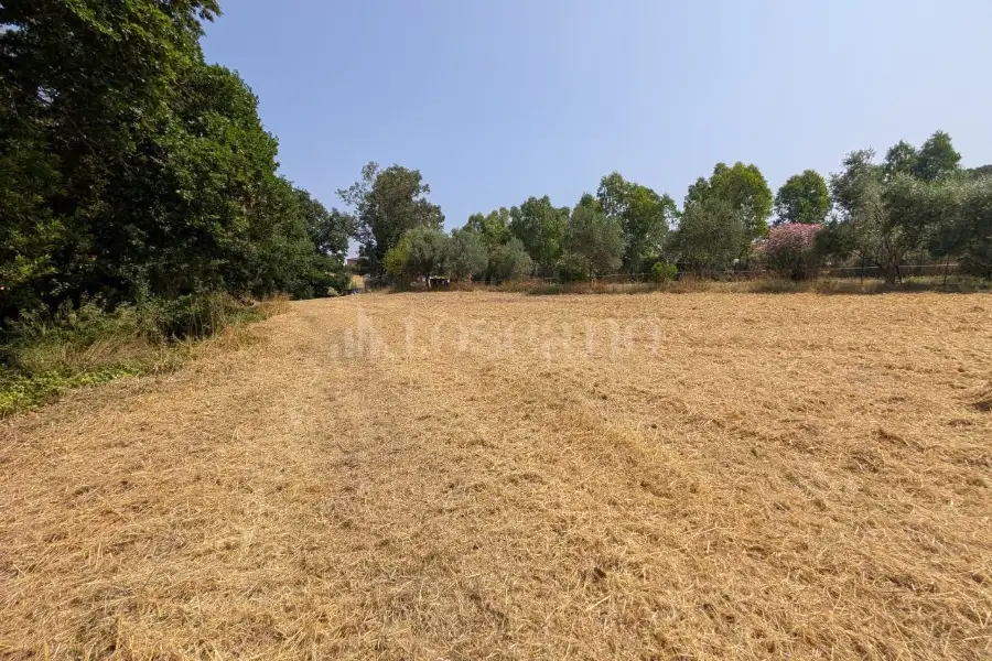 Edificabile Commerciale in vendita di 19.500 mq a €119.000 (rif. 17/2026)