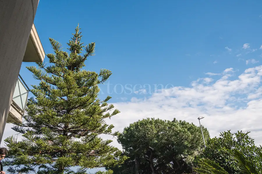 Villa in vendita di 322 mq a €478.000 (rif. 20/2025)