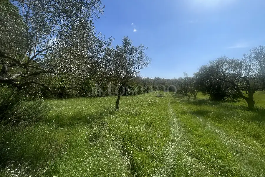 Agricolo in vendita di 3.360 mq a €12.000 (rif. 22/2026)
