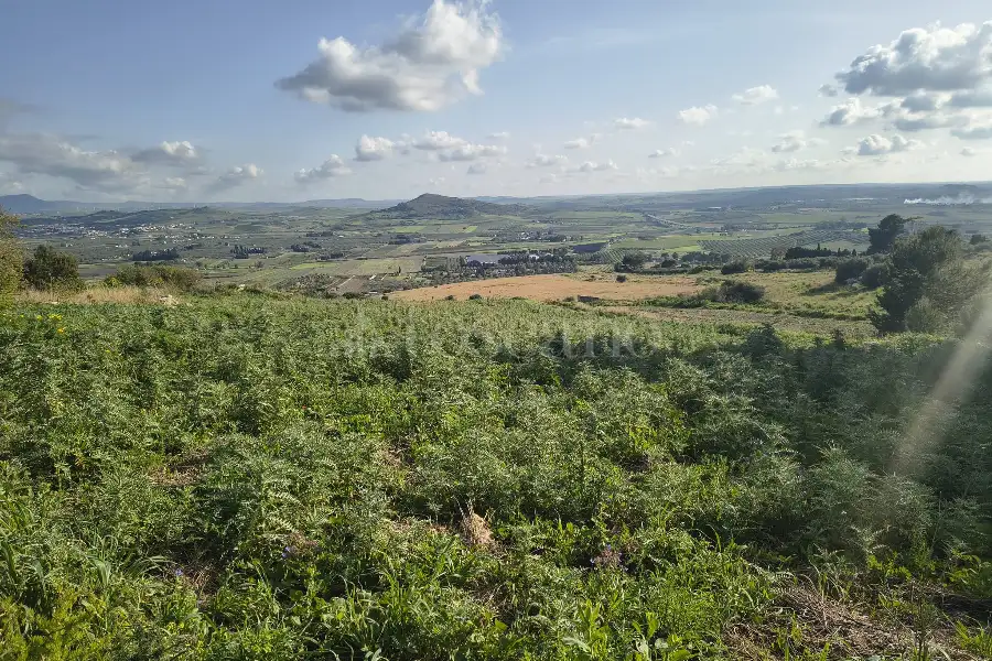 Agricolo in vendita di 9.600 mq a €28.000 (rif. 18/2026)