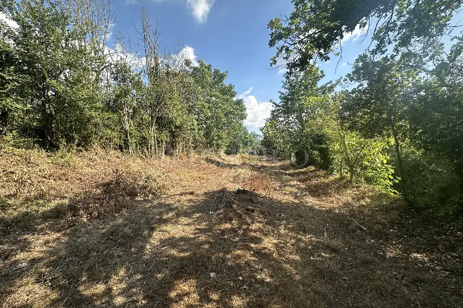 Agricolo in vendita di 1.200 mq a €19.900 (rif. 18/2025)