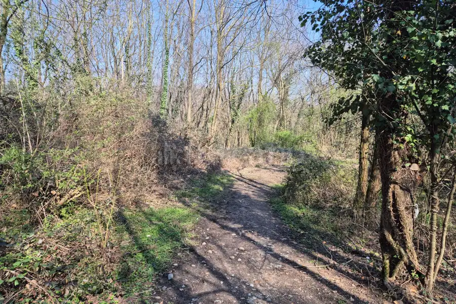 Agricolo in vendita di 80.000 mq a €445.000 (rif. 8/2025)