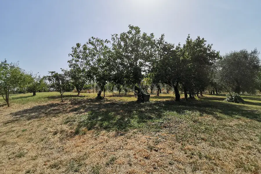 Casa in vendita di 280 mq a €380.000 (rif. 24/2021)