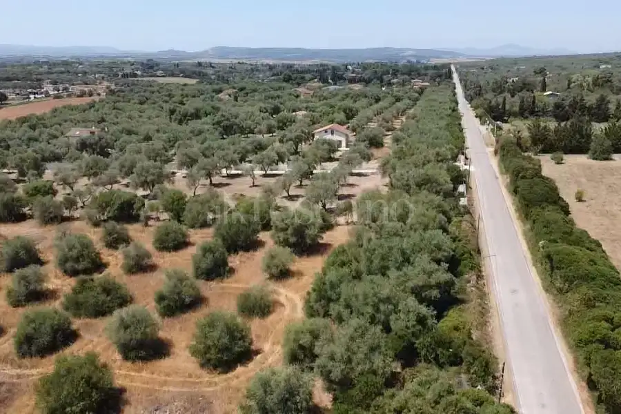 Edificabile Residenziali in vendita di 15.000 mq a €70.000 (rif. 164/2026)