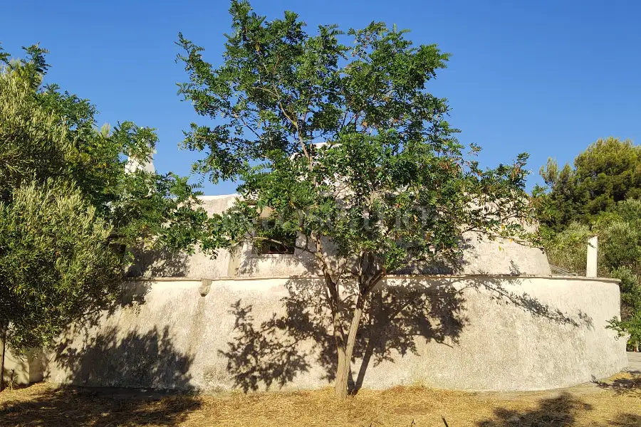 Casa Indipendente in vendita di 50 mq a €155.000 (rif. 32/2026)