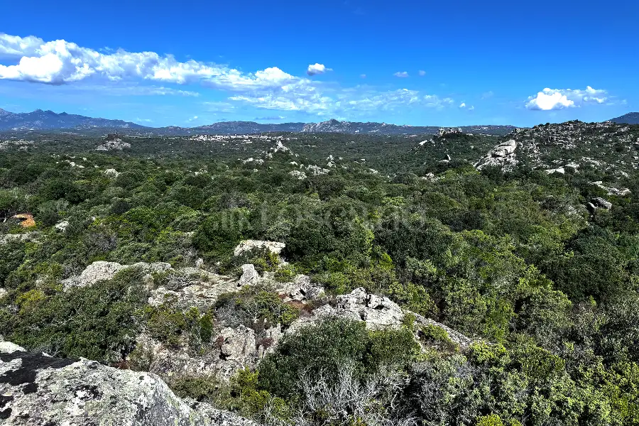 Agricolo in vendita di 75.140 mq a €95.000 (rif. 21/2025)