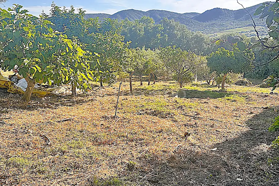 Edificabile Residenziali in vendita di 1.334 mq a €100.000 (rif. 6/2025)