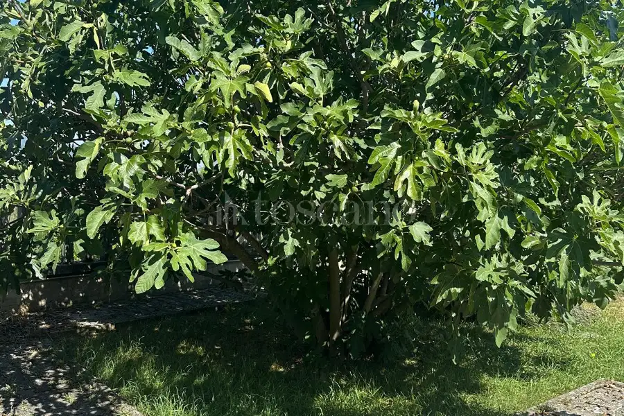 Villa Bifamiliare in vendita di 220 mq a €220.000 (rif. 63/2026)