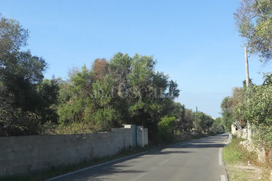 Edificabile Residenziali in vendita di 43.364 mq a €2.200.000 (rif. 20/2026)