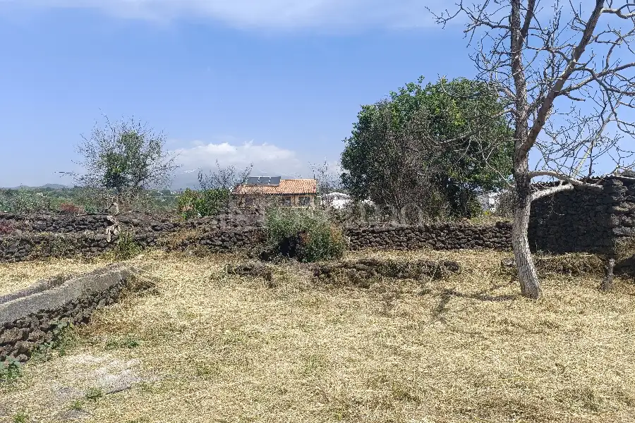 Agricolo in vendita di 1.000 mq a €39.000 (rif. 74/2026)
