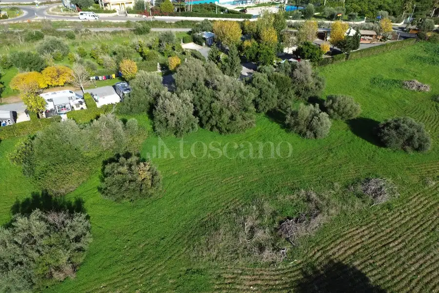 Edificabile Residenziali in vendita di 25.000 mq a €335.000 (rif. 137/2025)