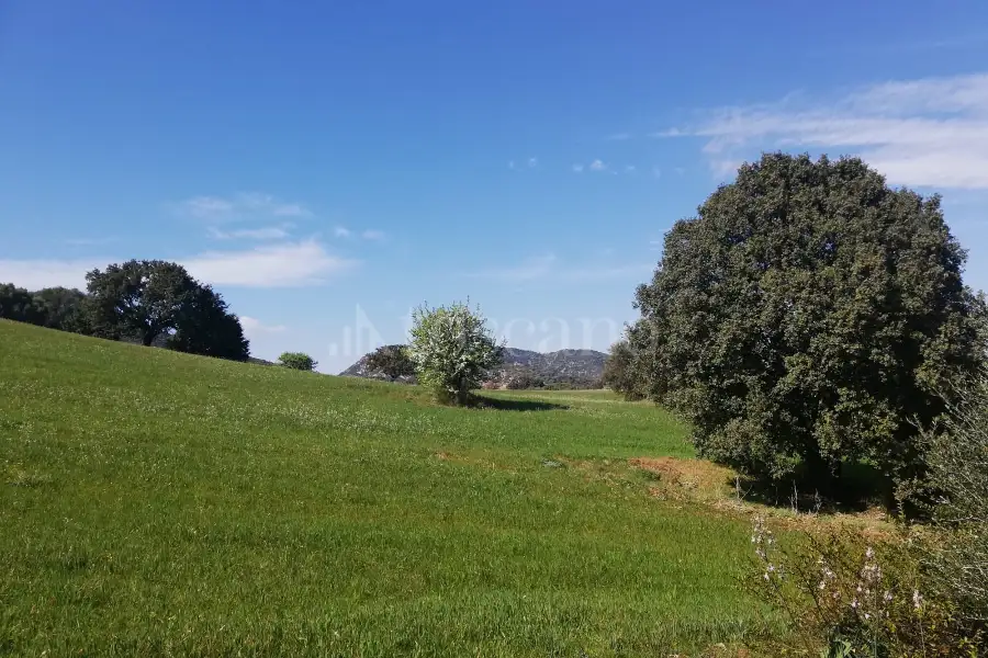Agricolo in vendita di 194.010 mq a €250.000 (rif. 56/2024)