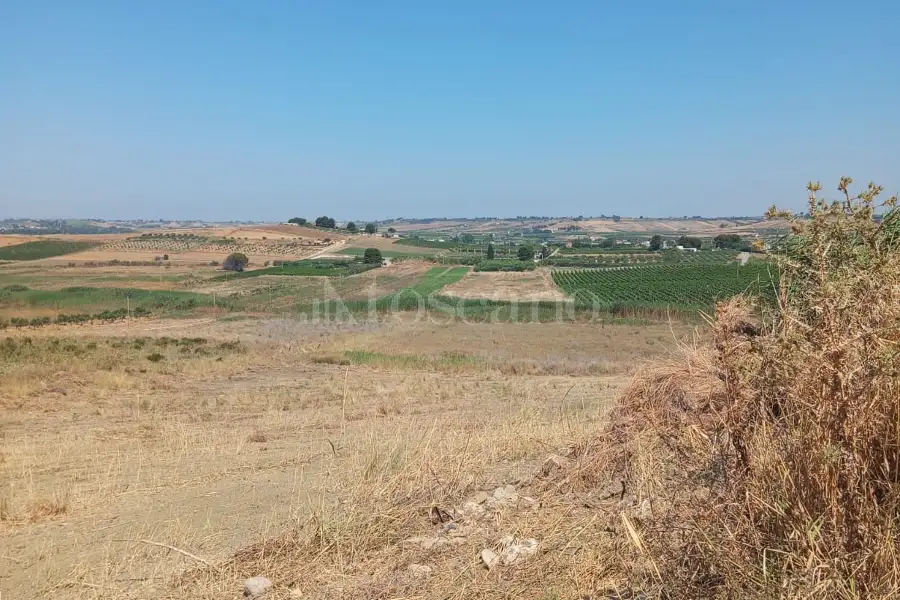 Agricolo in vendita di 8.000 mq a €50.000 (rif. 22/2026)