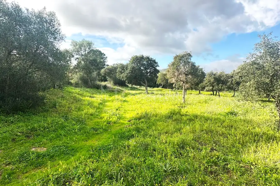 Edificabile Residenziali in vendita di 800 mq a €100.000 (rif. 2/2026)