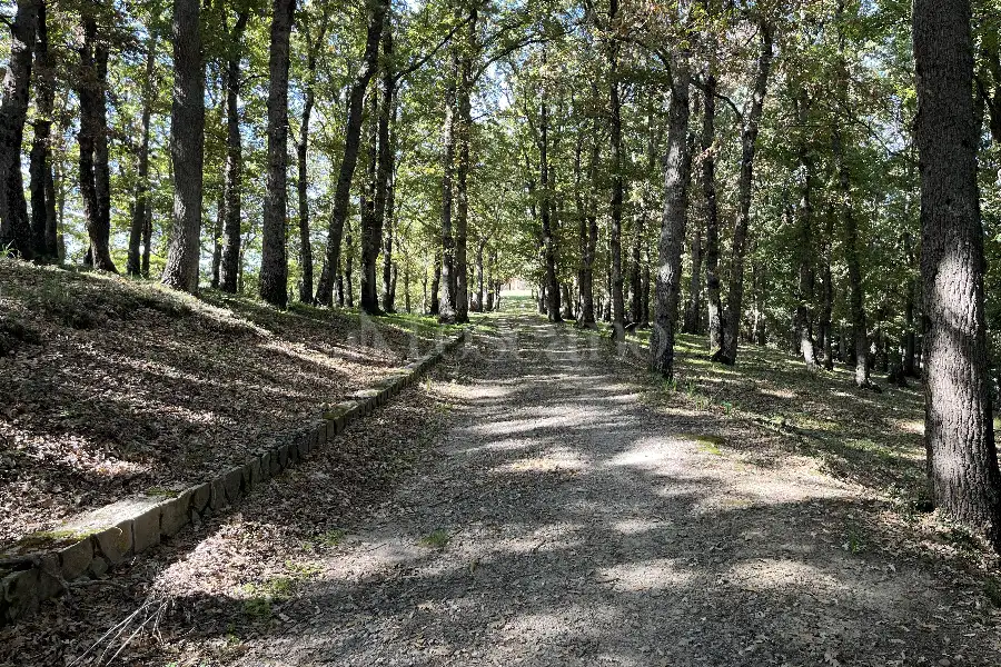 Casale in vendita di 860 mq trattativa riservata (rif. 258/2025)