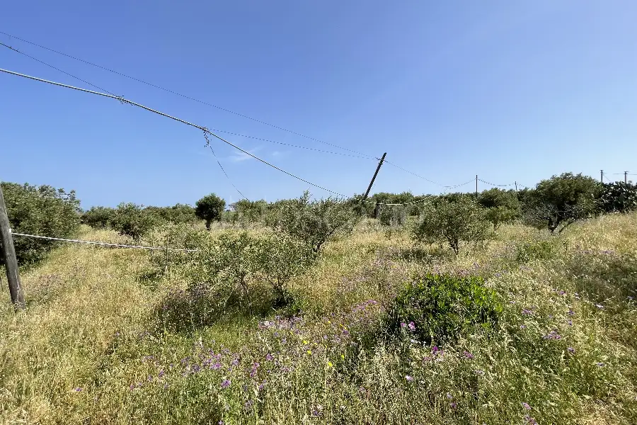 Agricolo in vendita di 3.300 mq a €28.000 (rif. 10/2025)
