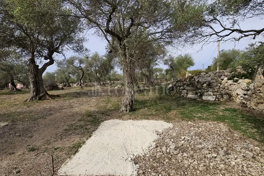 Edificabile Residenziali in vendita di 10.000 mq a €99.000 (rif. 176/2025)