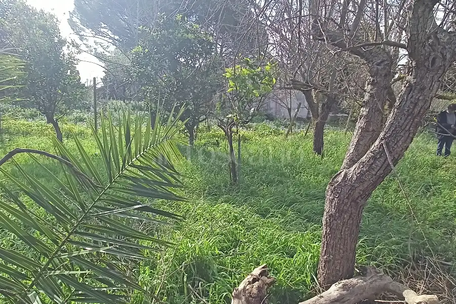 Casa Indipendente in vendita di 205 mq a €65.000 (rif. 12/2026)
