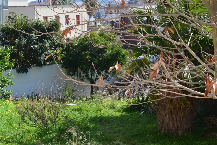 Casa in vendita di 305 mq trattativa riservata (rif. 35/2022)