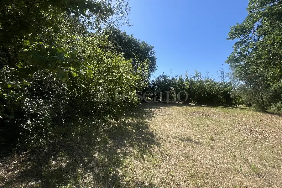 Edificabile Residenziali in vendita di 9.070 mq a €270.000 (rif. 29/2026)