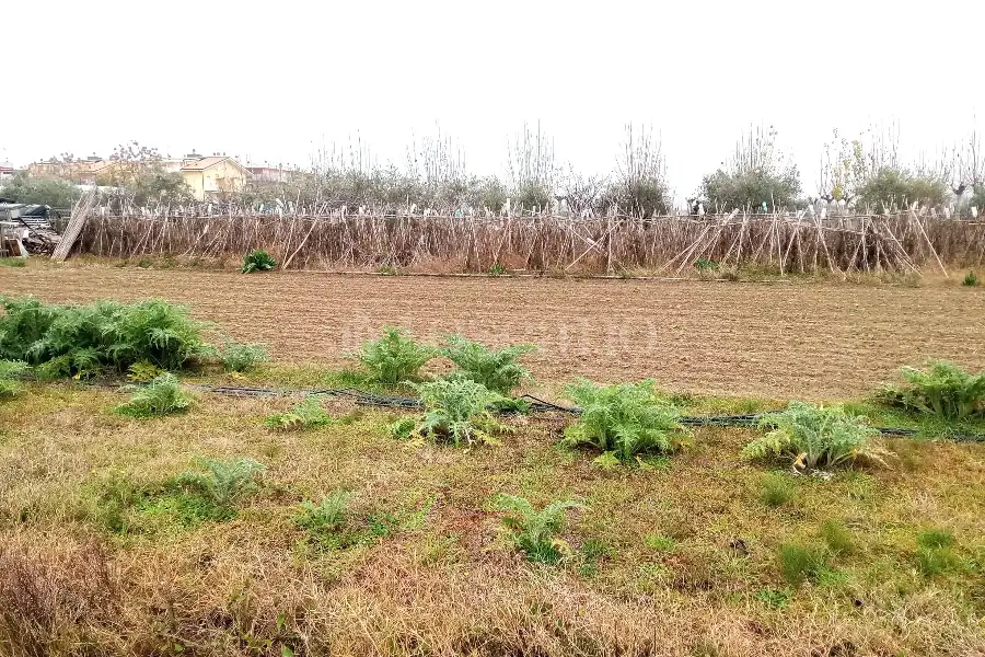 Agricolo in vendita di 2.400 mq a €55.000 (rif. 64/2025)