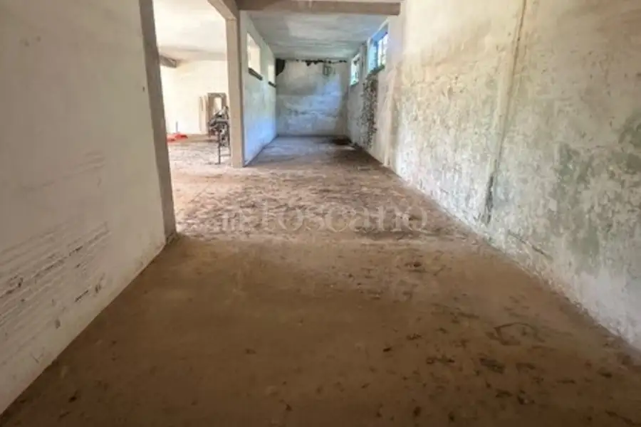Agricolo in vendita di 10.000 mq a €175.000 (rif. 19/2025)