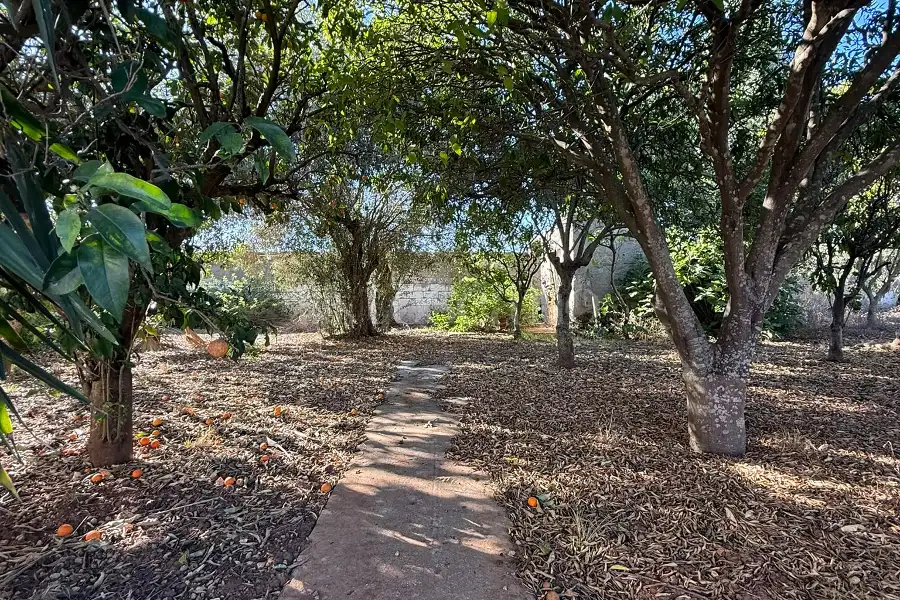 Casale in vendita di 560 mq a €380.000 (rif. 221/2026)