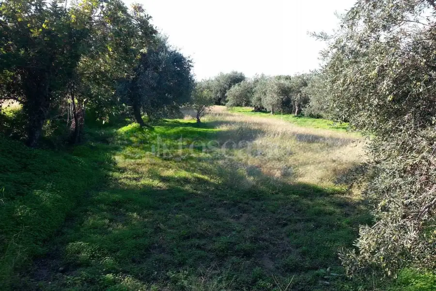 Rustico in vendita di 178 mq a €70.000 (rif. 14/2026)