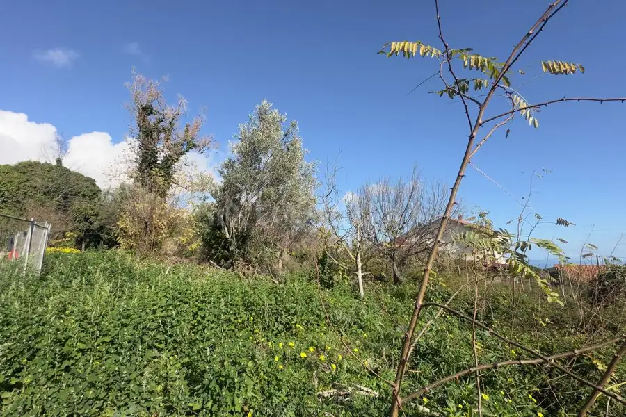 Edificabile Residenziali in vendita di 1.600 mq a €138.000 (rif. 192/2025)