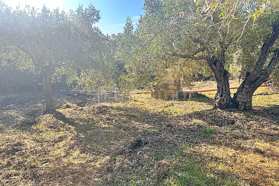 Edificabile Residenziali in vendita di 1.334 mq a €100.000 (rif. 6/2025)