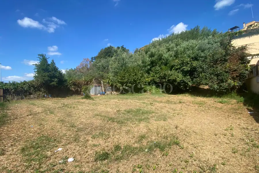 Agricolo in vendita di 1.500 mq a €54.000 (rif. 43/2025)