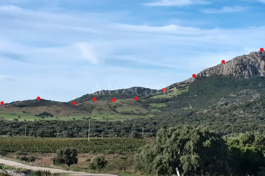 Agricolo in vendita di 535.657 mq a €238.000 (rif. 52/2024)