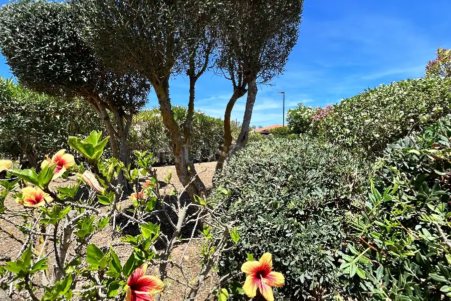 Casa in vendita di 30 mq a €139.000 (rif. 143/2026)