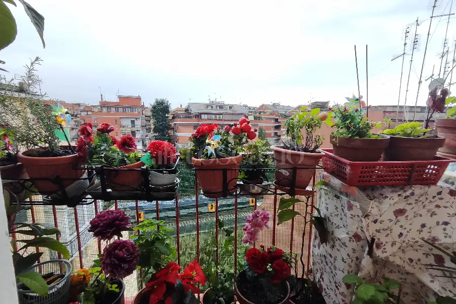 Casa in affitto di 45 mq a €950 (rif. 14/2026)