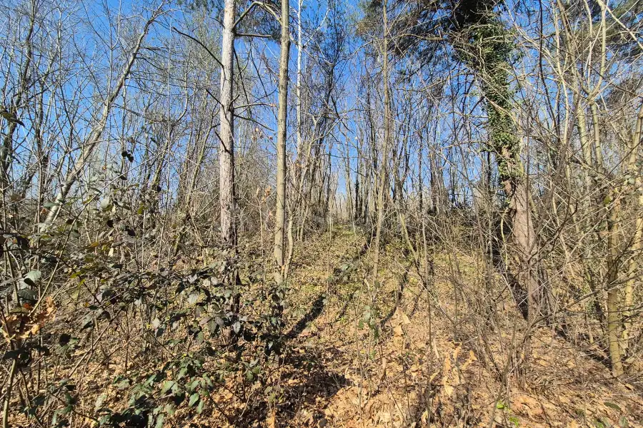 Agricolo in vendita di 80.000 mq a €445.000 (rif. 8/2025)