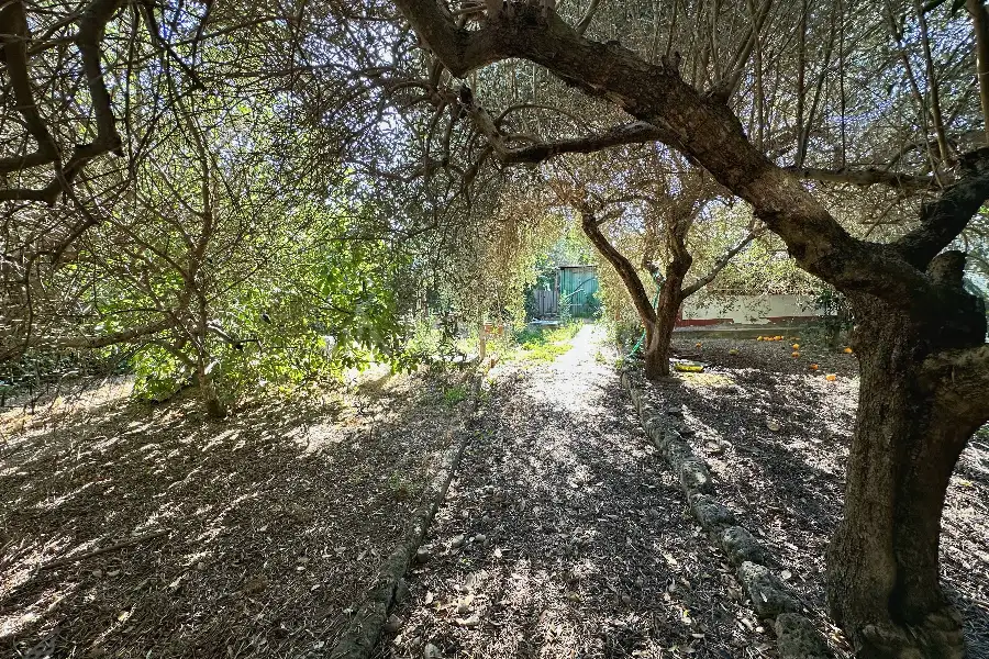 Villa in vendita di 70 mq a €315.000 (rif. 16/2025)