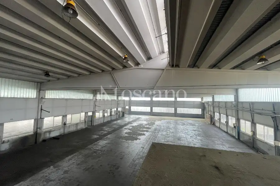 Capannone in vendita di 2942 mq a €992,000 (rif. BL6153VE)