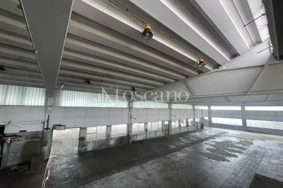 Capannone in vendita di 2942 mq a €992,000 (rif. BL6153VE)