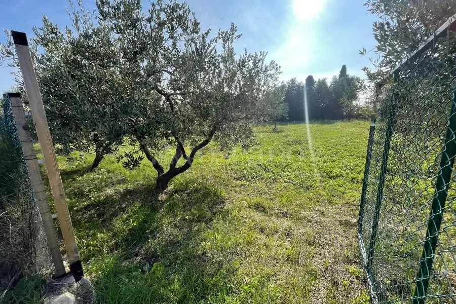 Agricolo in vendita di 1.288 mq a €37.000 (rif. 59/2025)