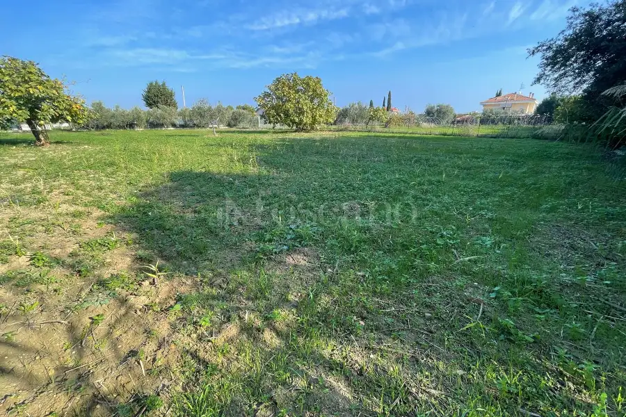Agricolo in vendita di 1.288 mq a €37.000 (rif. 59/2025)