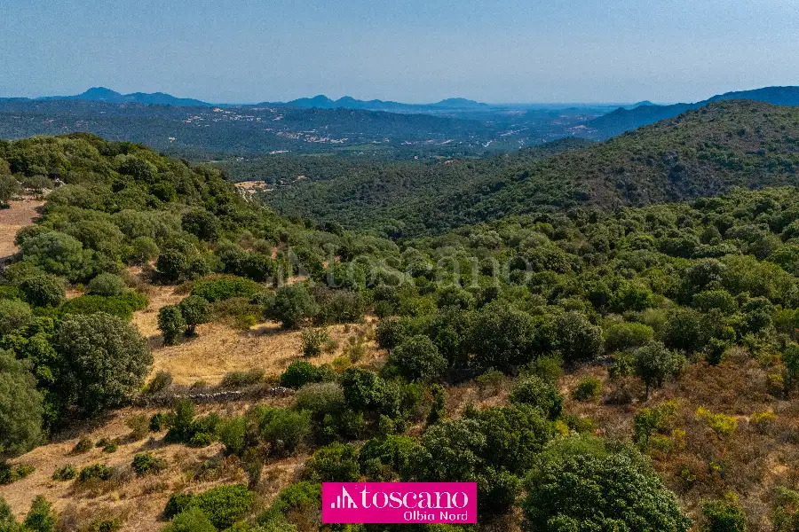 Agricolo in vendita di 176.937 mq a €170.000 (rif. 49/2026)