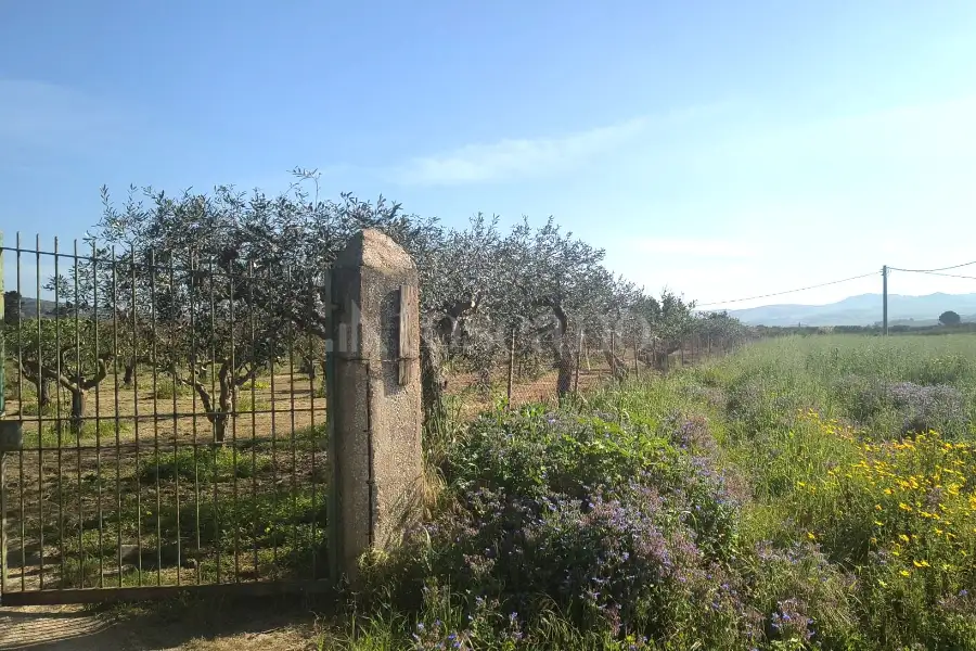 Agricolo in vendita di 14.880 mq a €108.000 (rif. 27/2026)