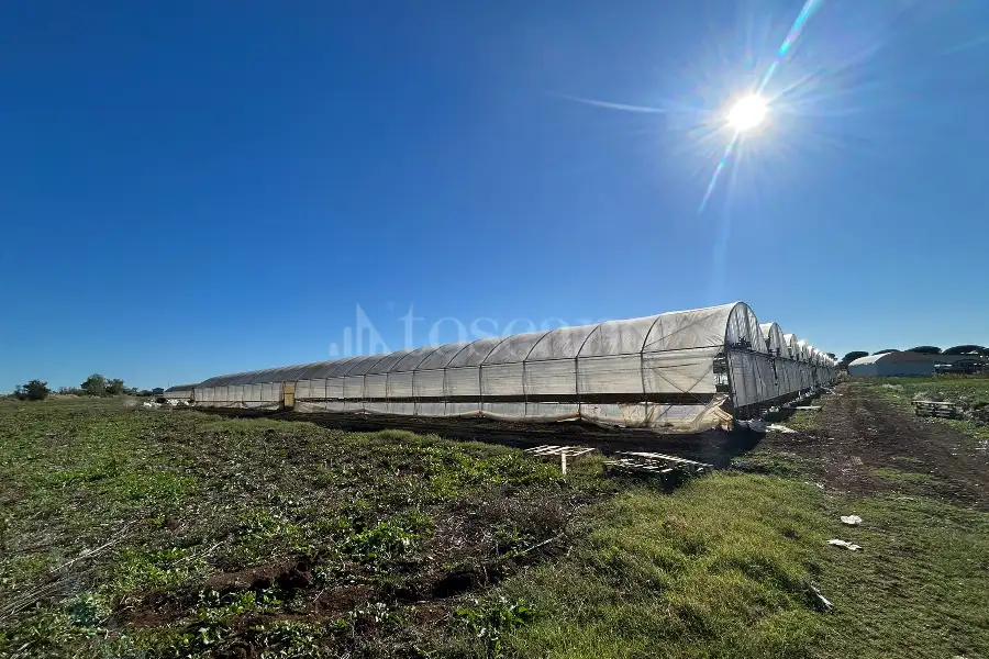 Agricolo in affitto di 50.000 mq a €80.000 (rif. 4/2026)