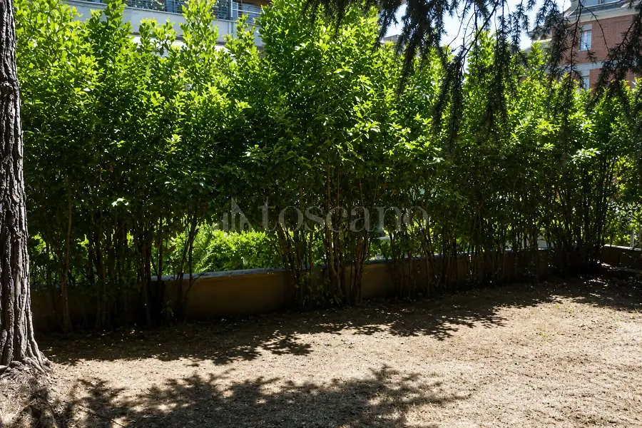 Loft in vendita di 37 mq a €79.000 (rif. 19/2026)